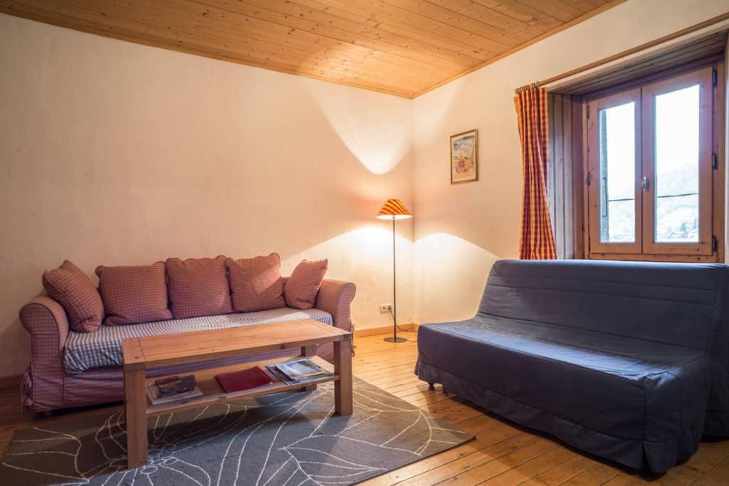 Appartement Spacieux Proche Des Telecabines Et Du Centre Ville Avec Jardin Prive Saint-Gervais-les-Bains Luaran gambar